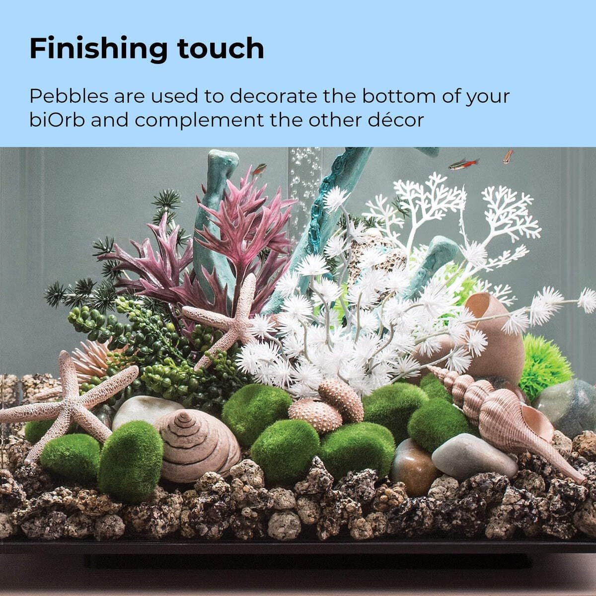 BiOrb 46084.0 Moss Pebbles Aquariums - Image 5