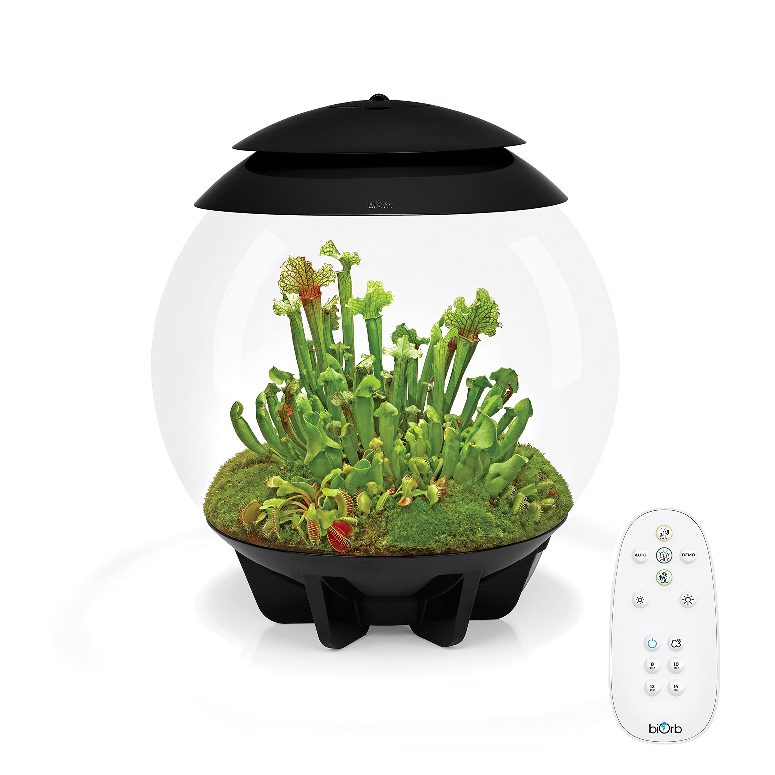 Terrariums
