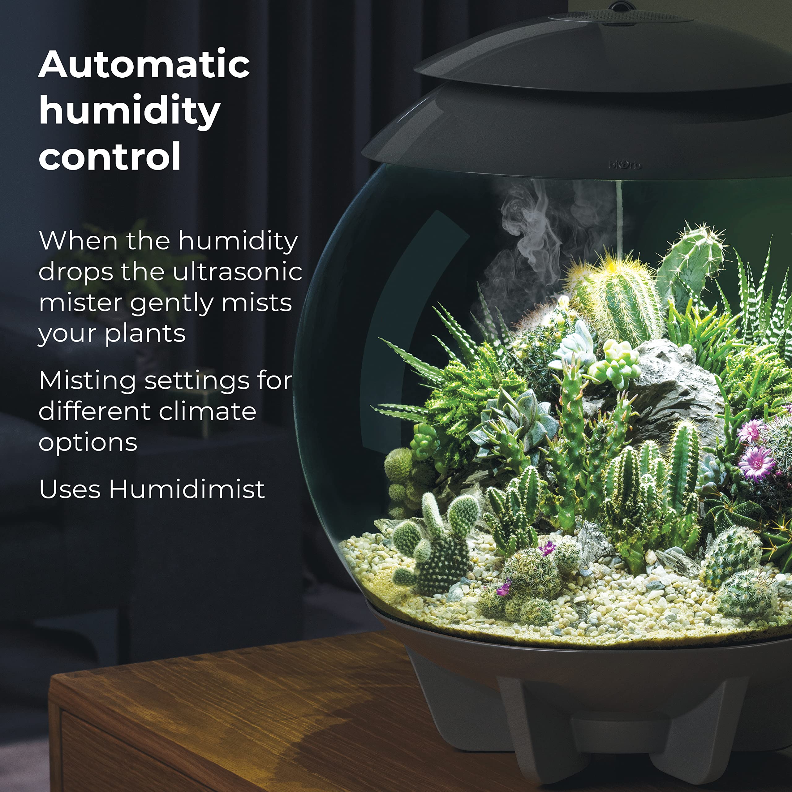 biOrb AIR 30, Automated Acrylic Terrarium for Desert or Tropical Plants, Black - Image 7
