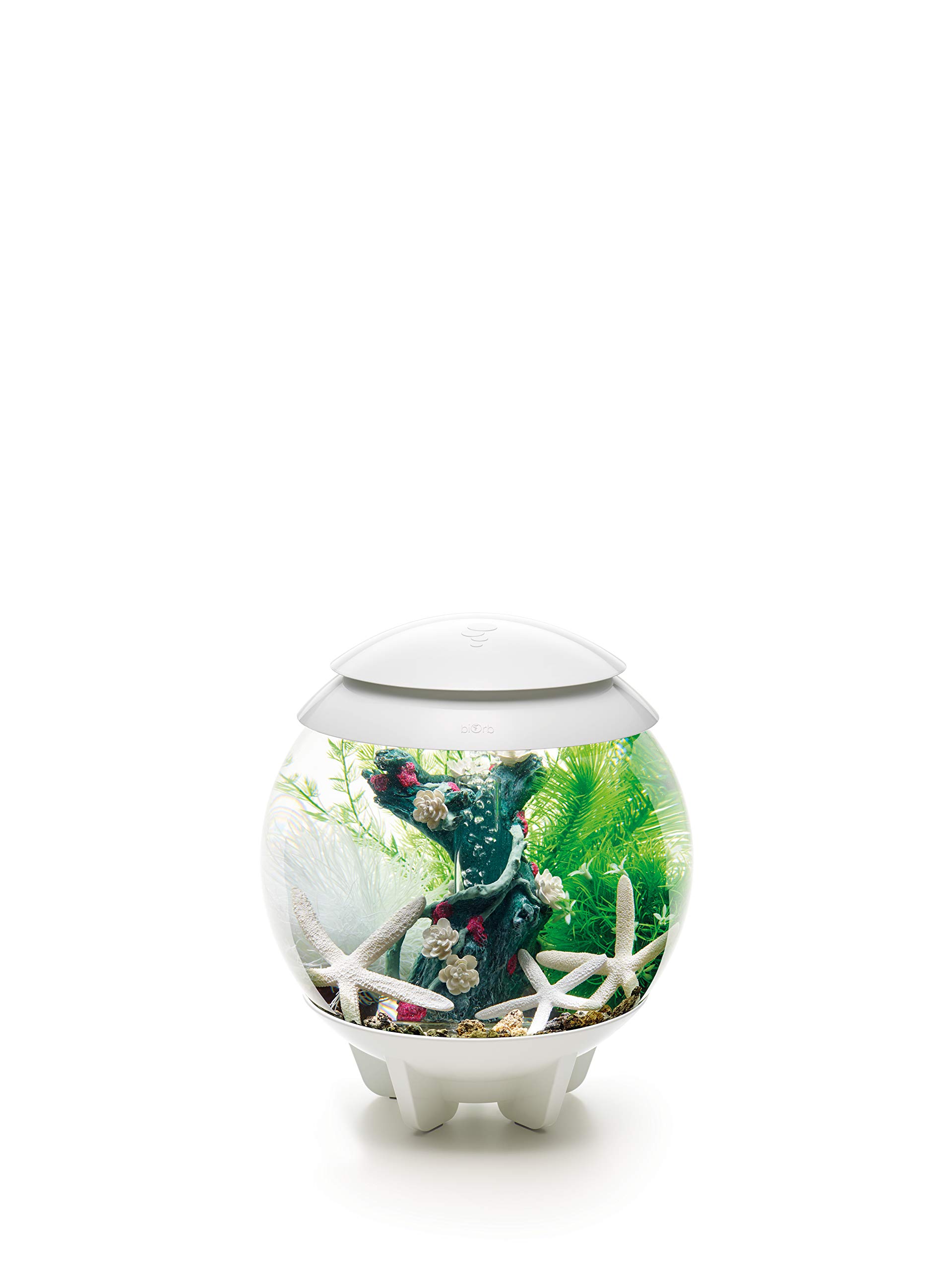 biOrb Decor Set – 15L Flower Garden - Image 4