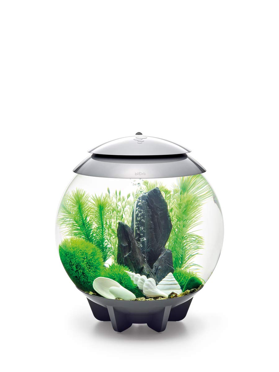 biOrb Decor Set – 30L Stone Garden, Medium - Image 3
