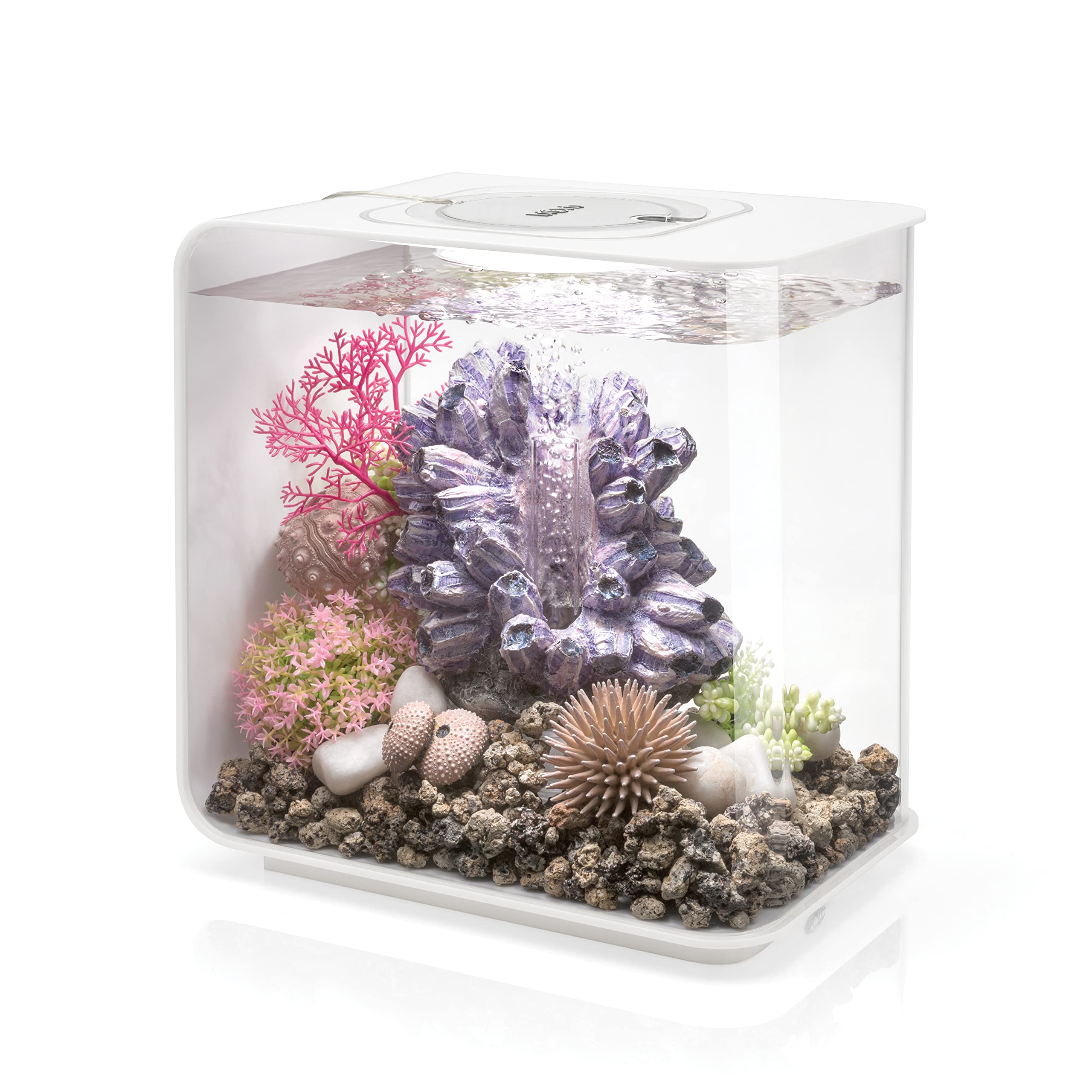 Aquariums